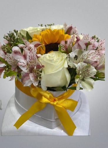 box eterno amor(1)